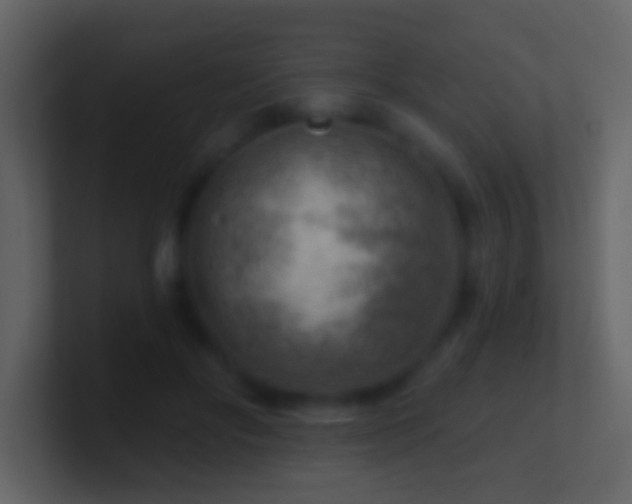 X0000101470502200807071446