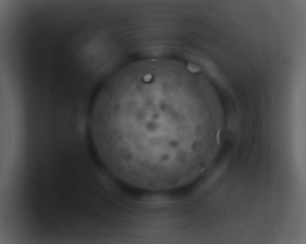 X0000101470503200807071446