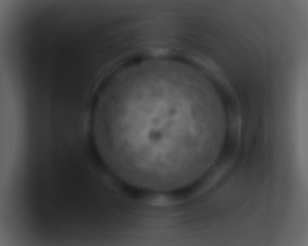 X0000101470507200807071446