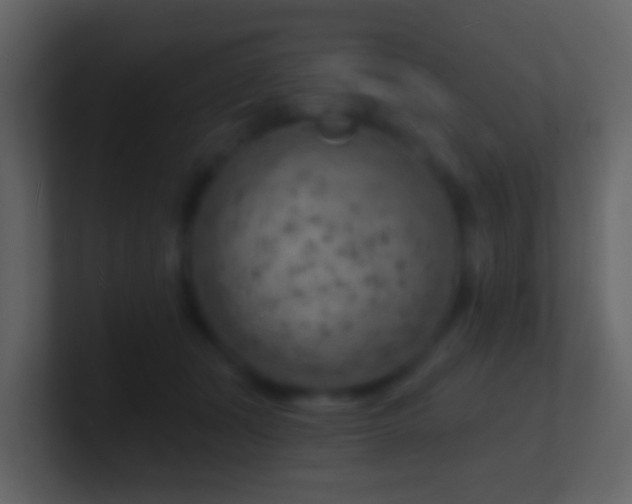 X0000101470511200807071446