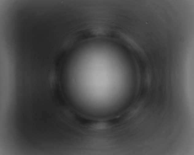 X0000101470513200807071446