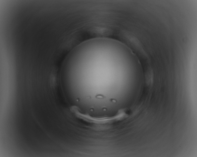 X0000101470515200807071446