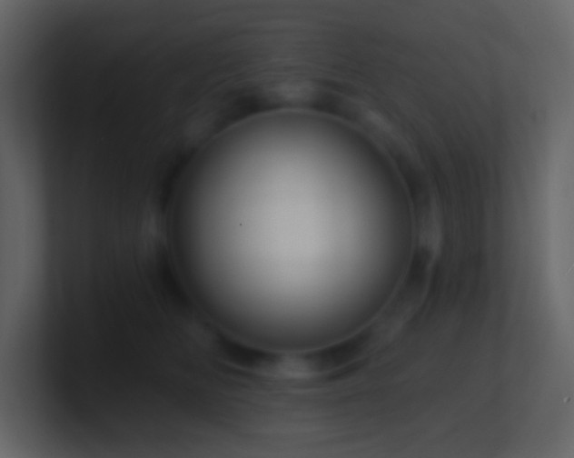 X0000101470518200807071446