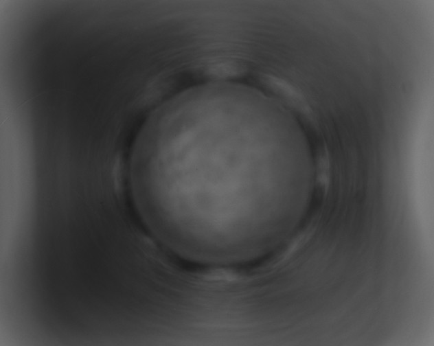 X0000101470519200807071446