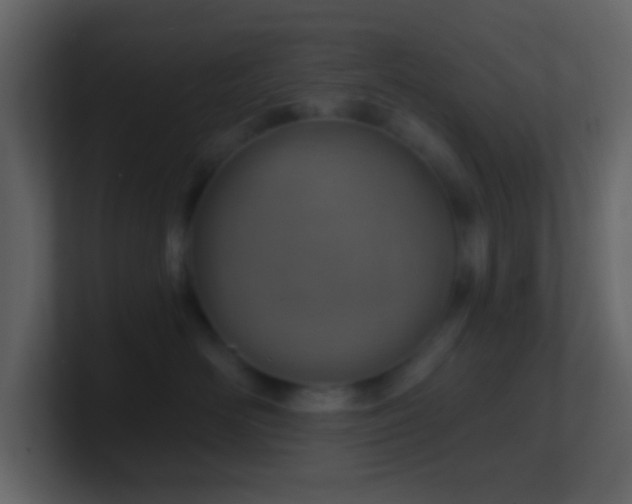 X0000101470526200807071446