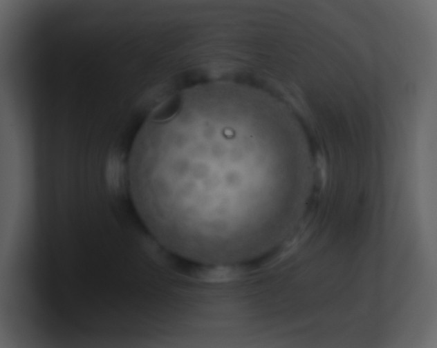 X0000101470527200807071446
