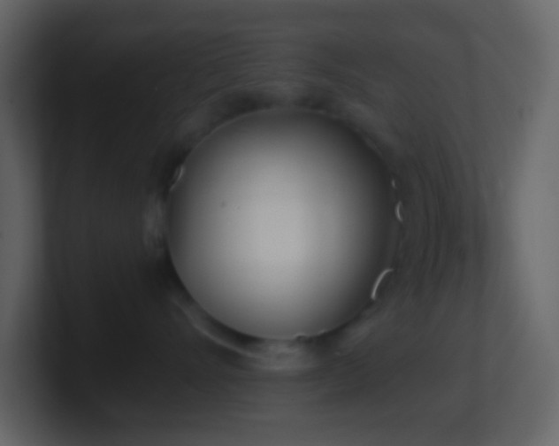 X0000101470528200807071446