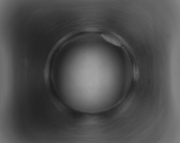 X0000101470531200807071445