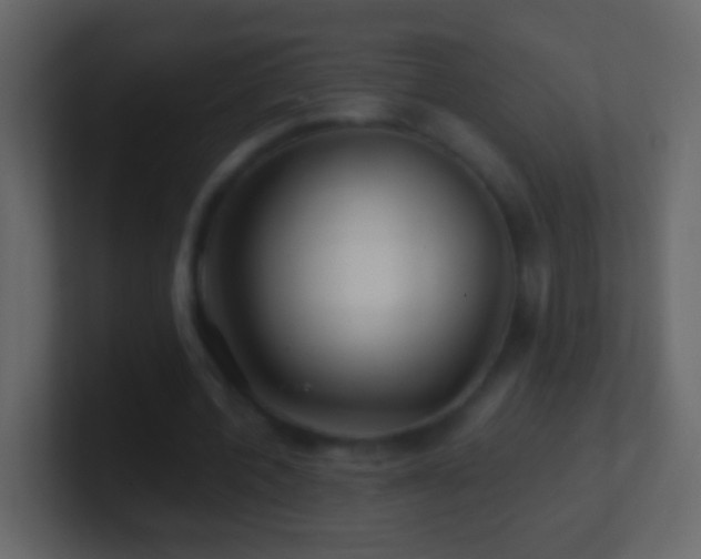X0000101470532200807071445
