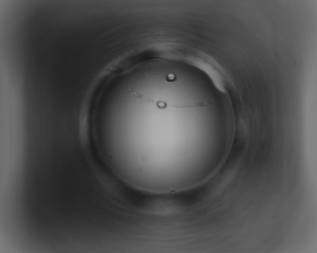 X0000101470535200807071445