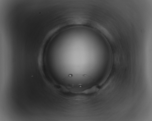 X0000101470536200807071445