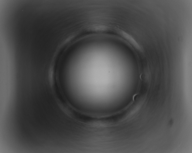 X0000101470538200807071445