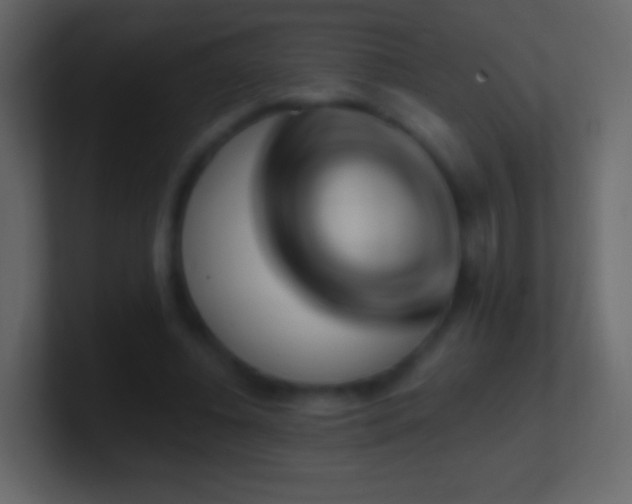 X0000101470540200807071445