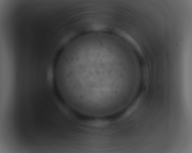 X0000101470542200807071445
