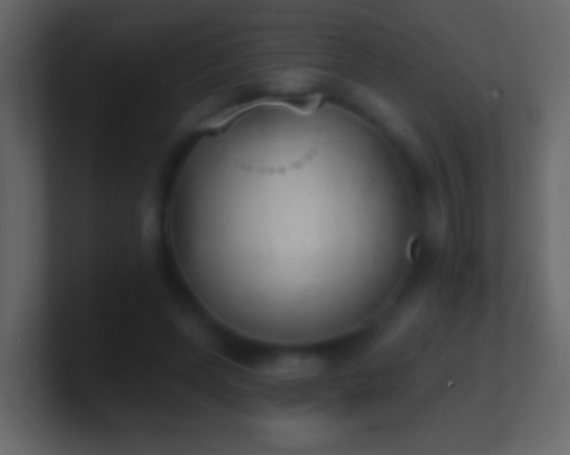 X0000101470543200807071445