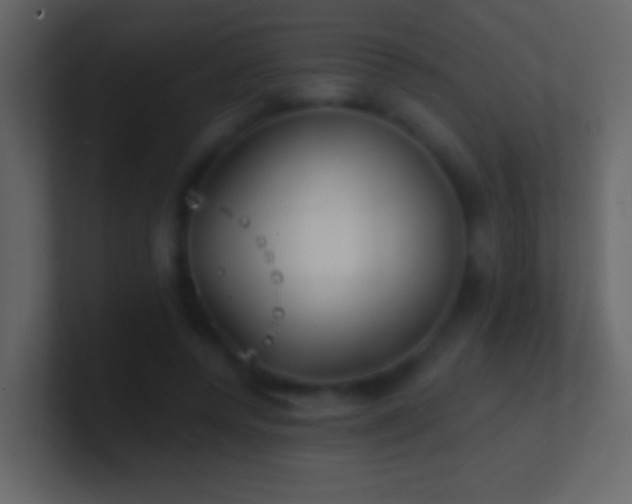 X0000101470544200807071445
