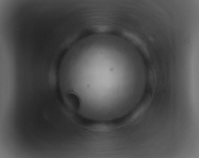 X0000101470545200807071445