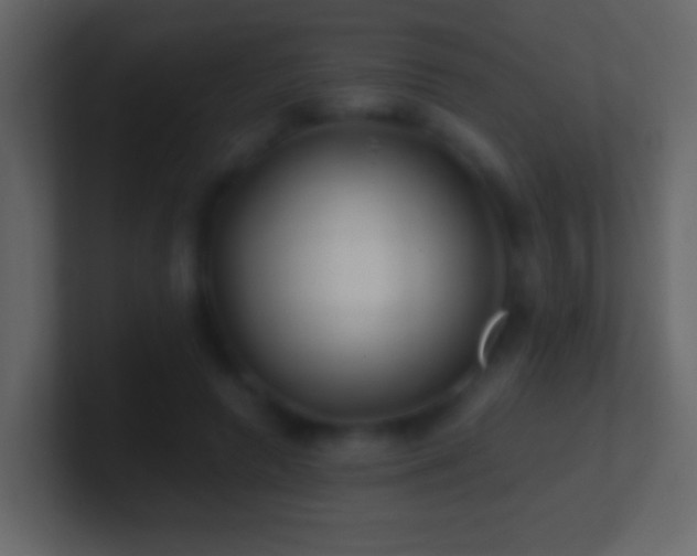 X0000101470546200807071445