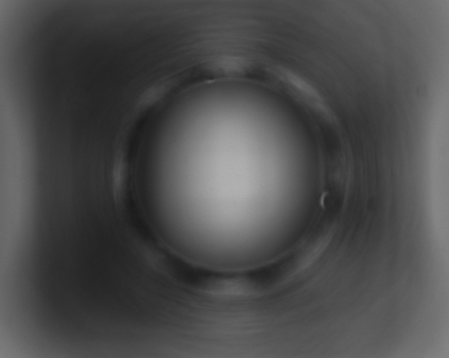 X0000101470548200807071445