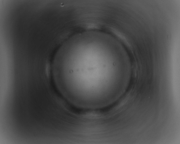 X0000101470550200807071445