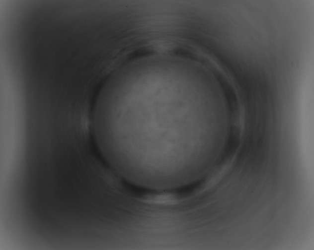 X0000101470553200807071445