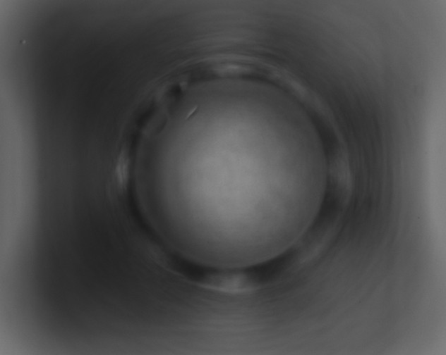 X0000101470554200807071445