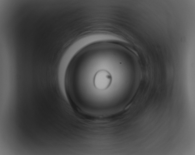 X0000101470556200807071445