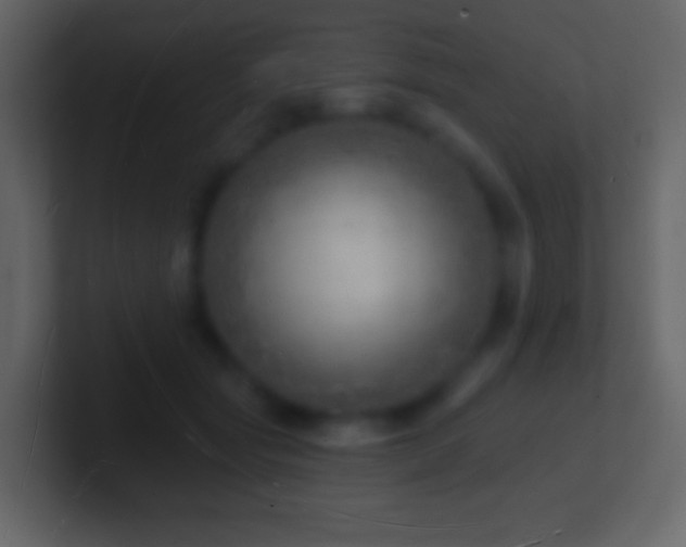 X0000101470557200807071445