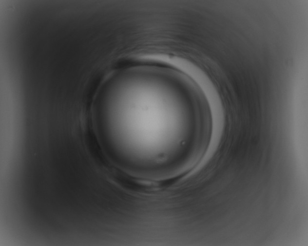 X0000101470558200807071445