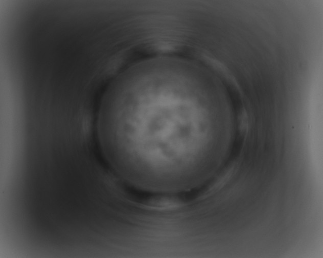 X0000101470559200807071445