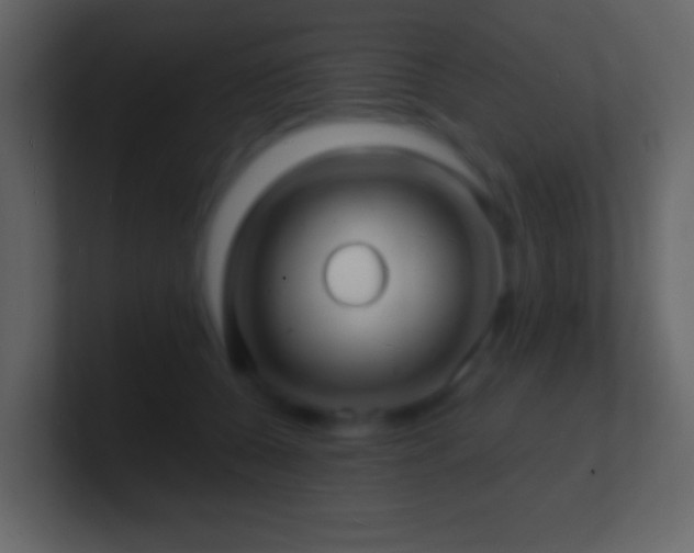 X0000101470560200807071445