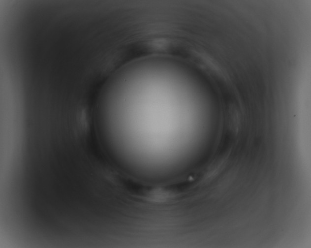 X0000101470562200807071445