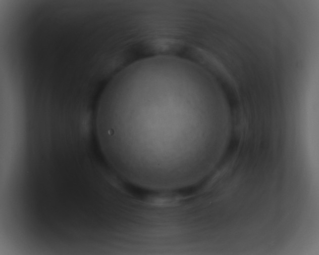 X0000101470563200807071445
