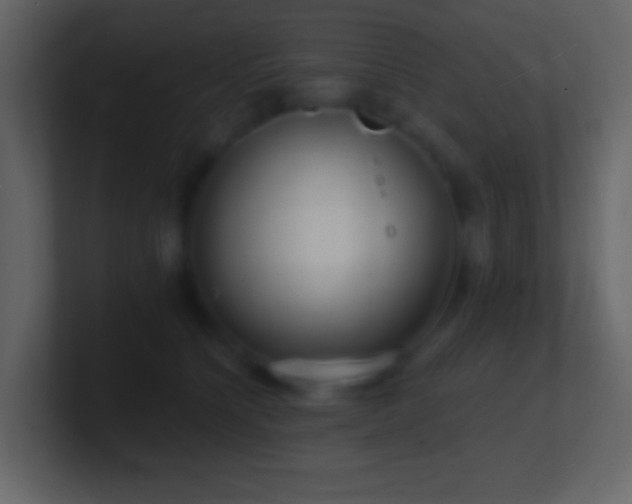 X0000101470564200807071445