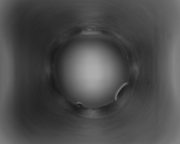 X0000101470566200807071445