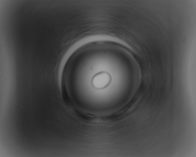 X0000101470568200807071445