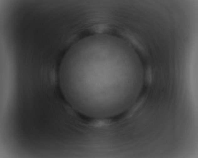 X0000101470569200807071445