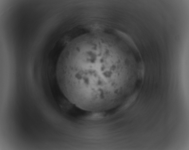 X0000101470573200807071446