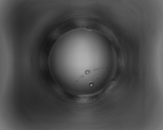 X0000101470574200807071446