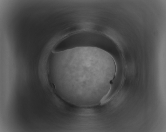 X0000101470577200807071445