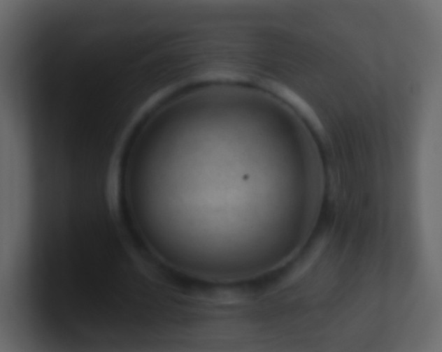 X0000101470580200807071445