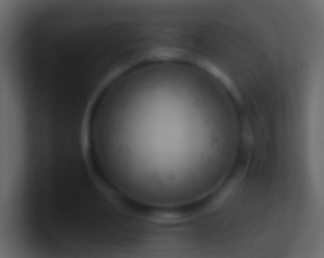 X0000101470582200807071445