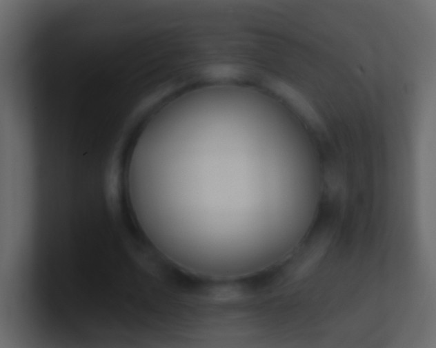 X0000101470583200807071445