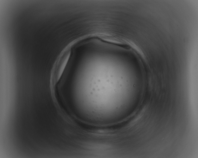 X0000101470584200807071445
