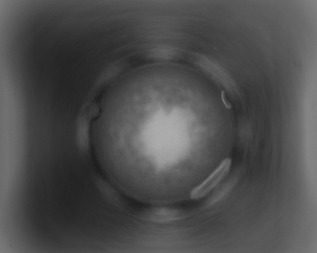 X0000101470585200807071445