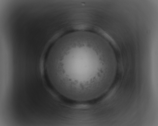 X0000101470586200807071445
