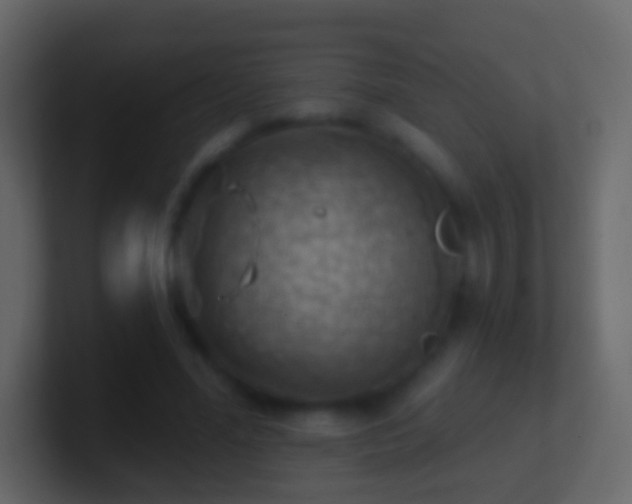 X0000101470588200807071445