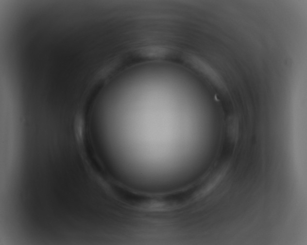 X0000101470589200807071445
