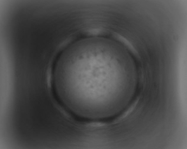 X0000101470590200807071445