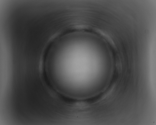 X0000101470591200807071445